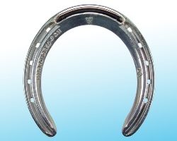 TB Quarter Horse - Front